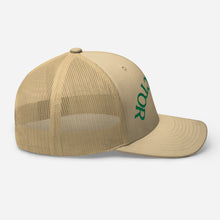Load image into Gallery viewer, Look at the Upside hat